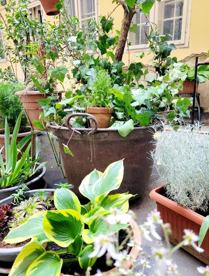 Secret Garden Apartment Zagabria Esterno foto