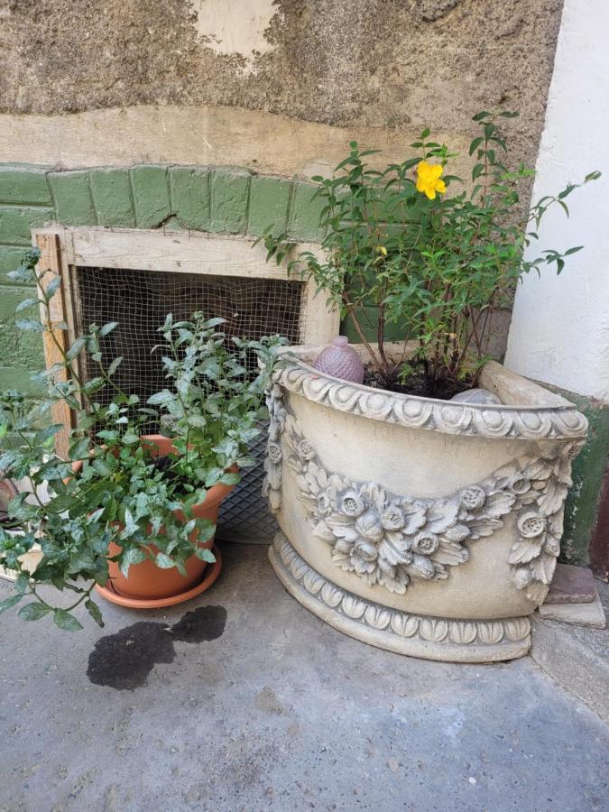 Secret Garden Apartment Zagabria Esterno foto